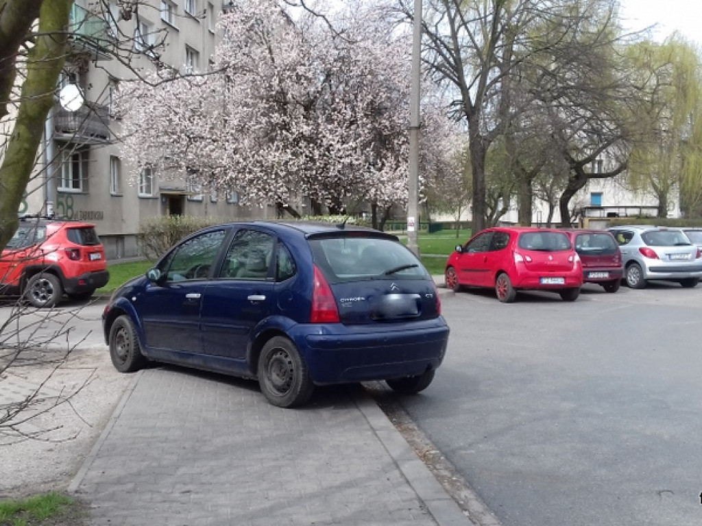 Kolejni mistrzowie parkowania?