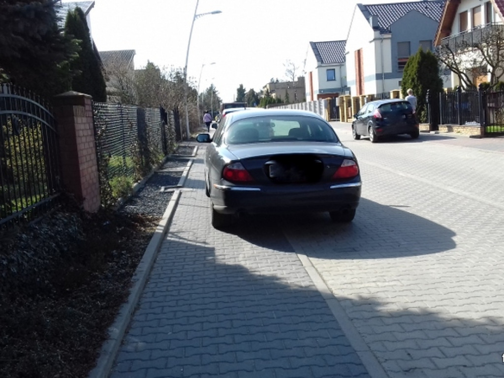 Kolejni mistrzowie parkowania?