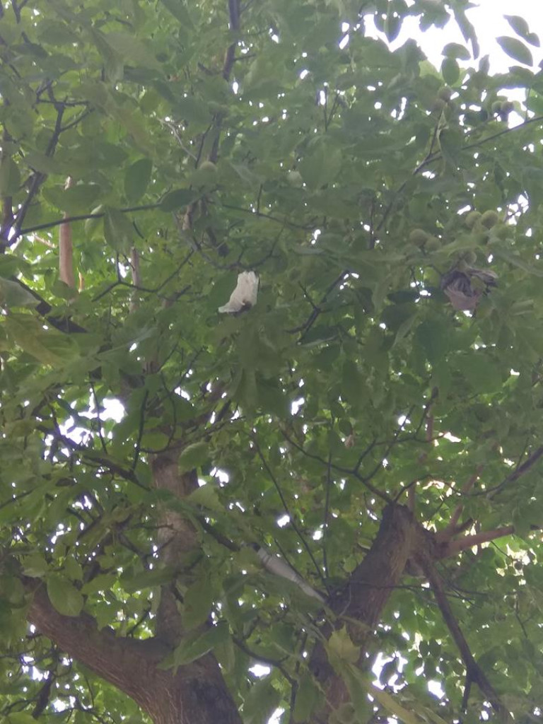 Czy ktoś wyrzuca kości przez balkon? - list do redakcji