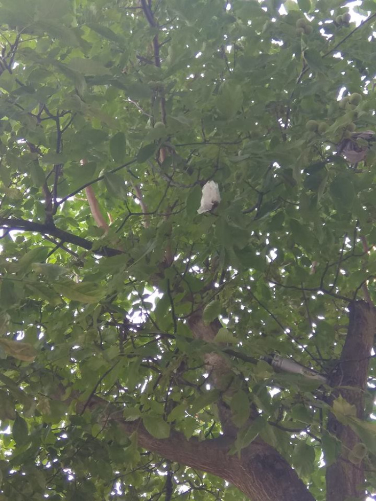 Czy ktoś wyrzuca kości przez balkon? - list do redakcji