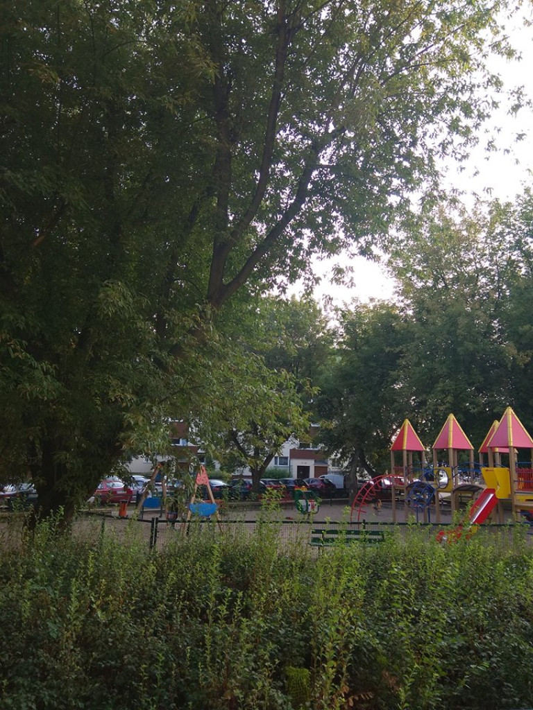 Czy ktoś wyrzuca kości przez balkon? - list do redakcji