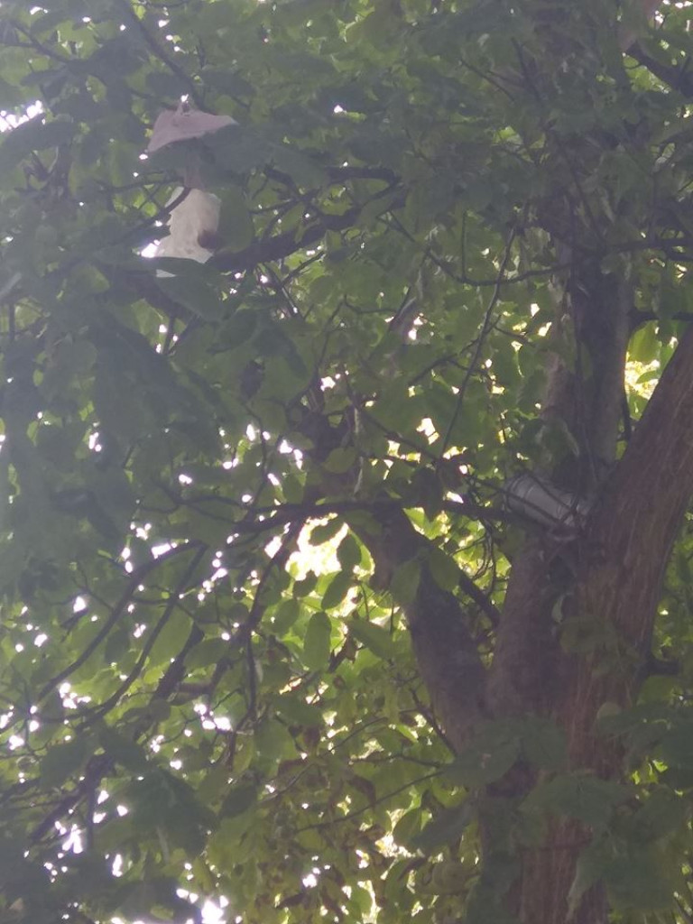 Czy ktoś wyrzuca kości przez balkon? - list do redakcji