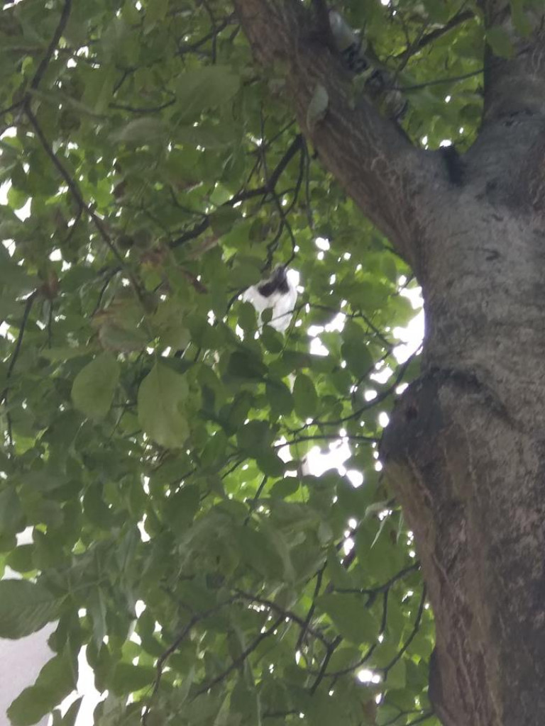 Czy ktoś wyrzuca kości przez balkon? - list do redakcji