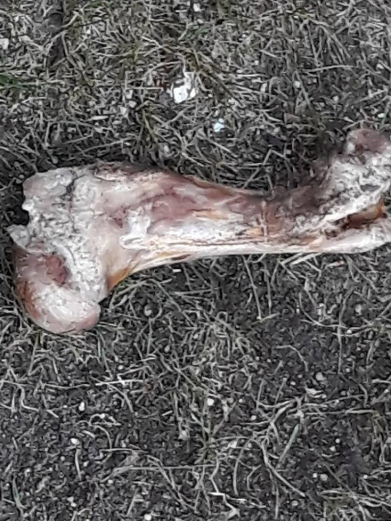 Czy ktoś wyrzuca kości przez balkon? - list do redakcji