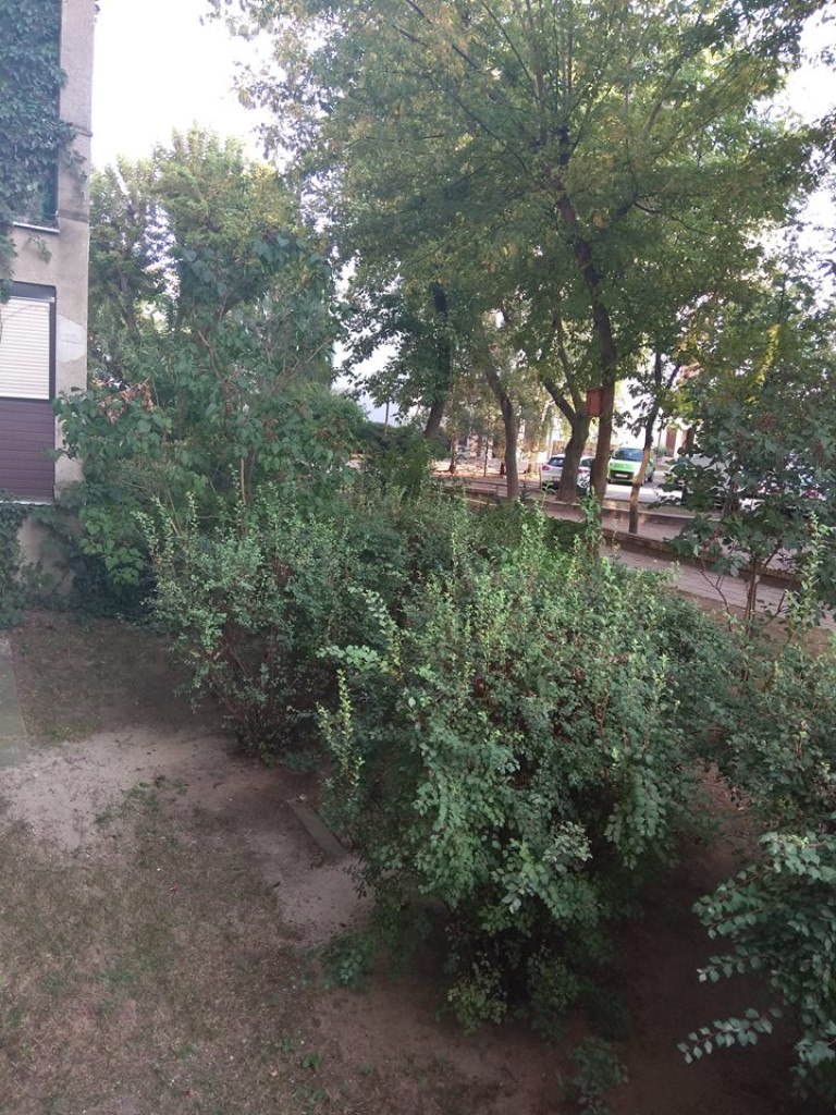 Czy ktoś wyrzuca kości przez balkon? - list do redakcji