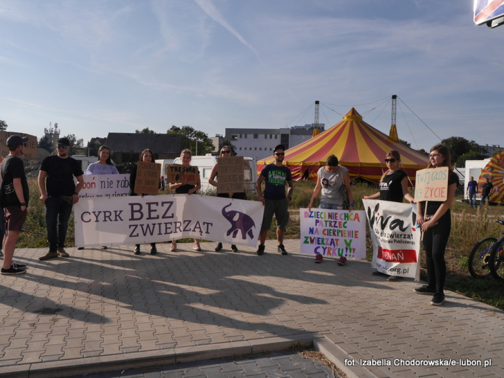 NIE dla cyrku w Luboniu - pikieta na ulicy Pułaskiego