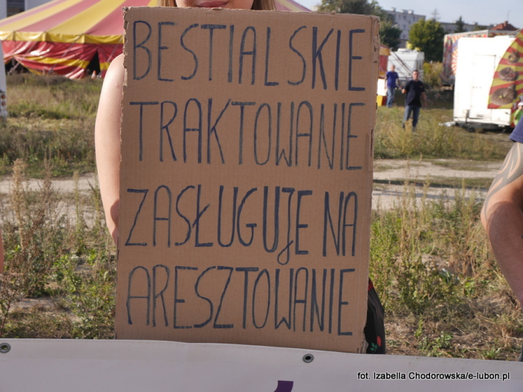 NIE dla cyrku w Luboniu - pikieta na ulicy Pułaskiego
