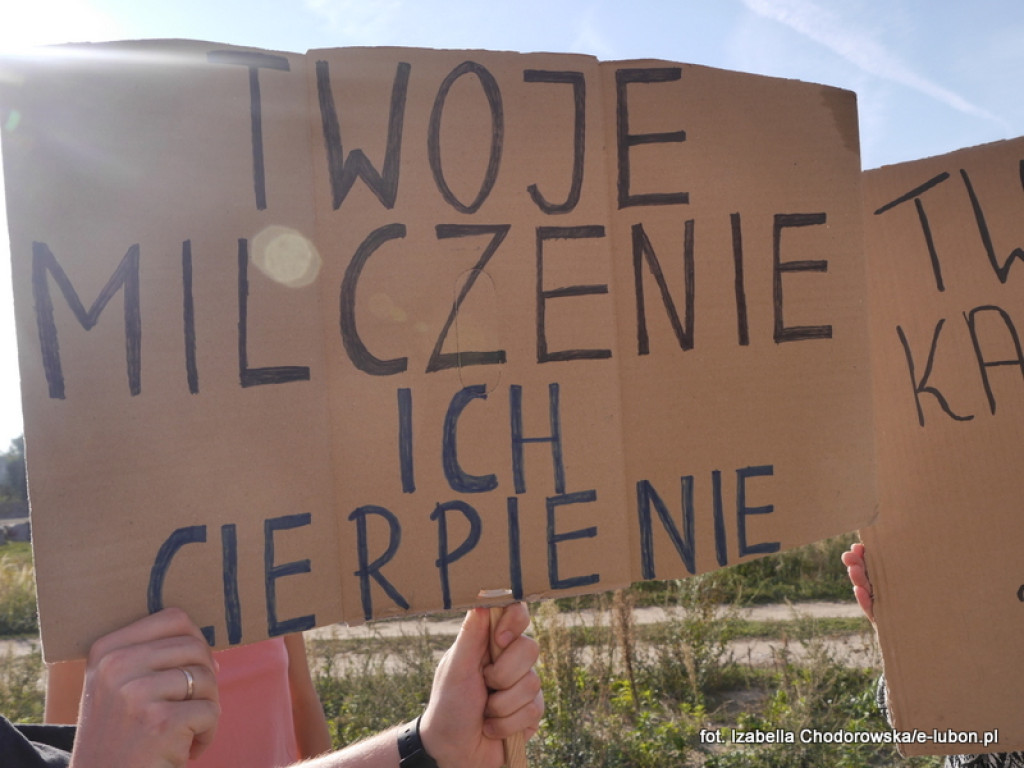 NIE dla cyrku w Luboniu - pikieta na ulicy Pułaskiego