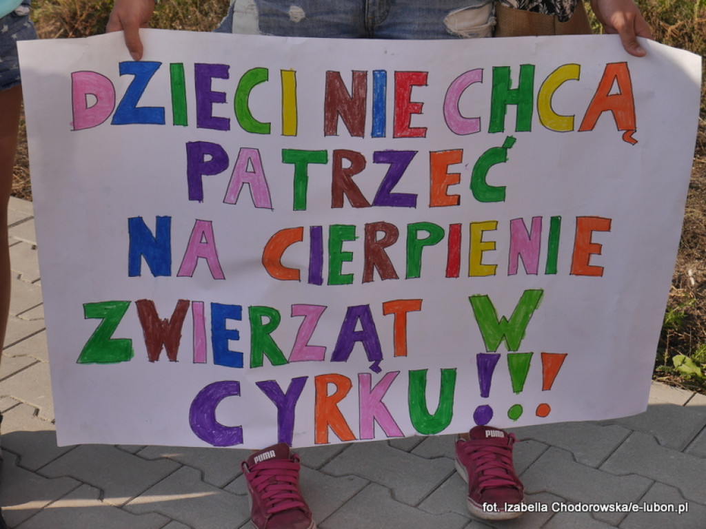 NIE dla cyrku w Luboniu - pikieta na ulicy Pułaskiego
