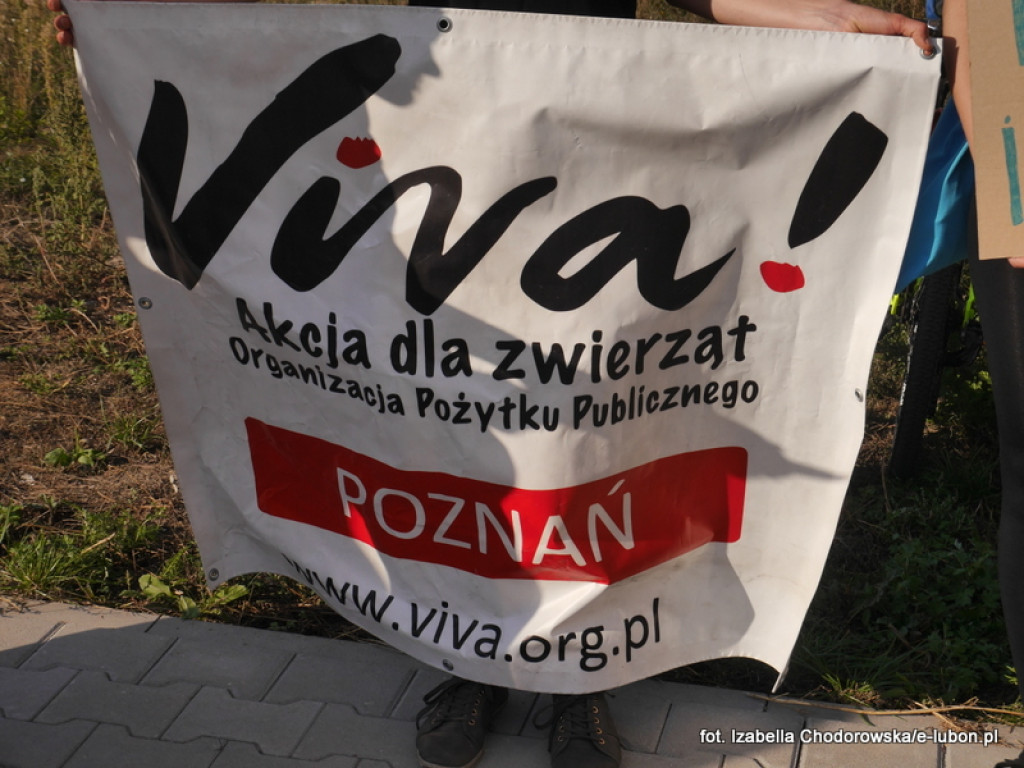 NIE dla cyrku w Luboniu - pikieta na ulicy Pułaskiego