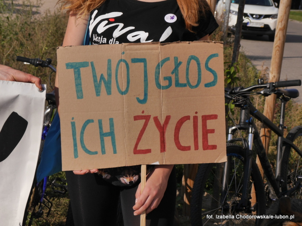 NIE dla cyrku w Luboniu - pikieta na ulicy Pułaskiego