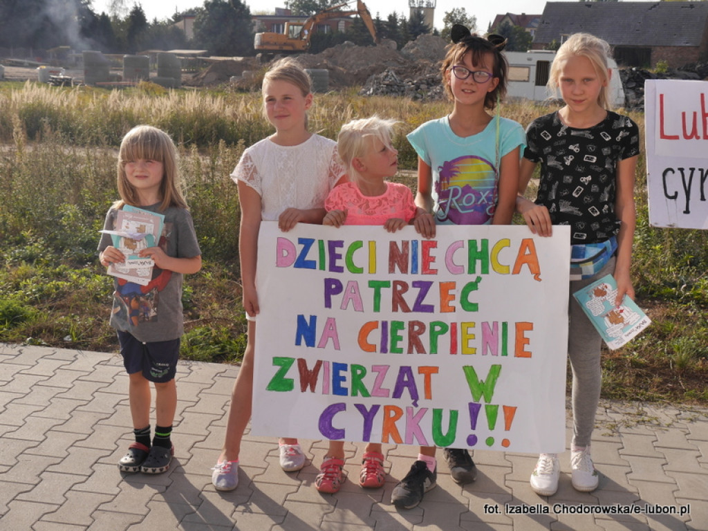 NIE dla cyrku w Luboniu - pikieta na ulicy Pułaskiego