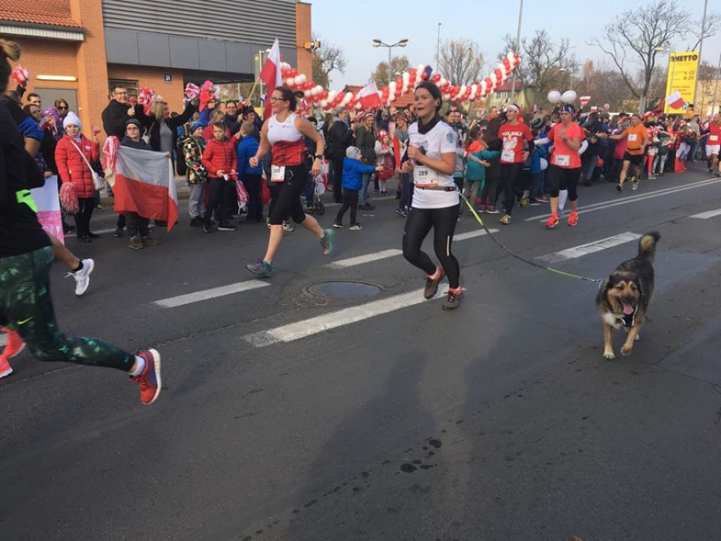 8 Luboński Bieg Niepodległości - fotorelacja