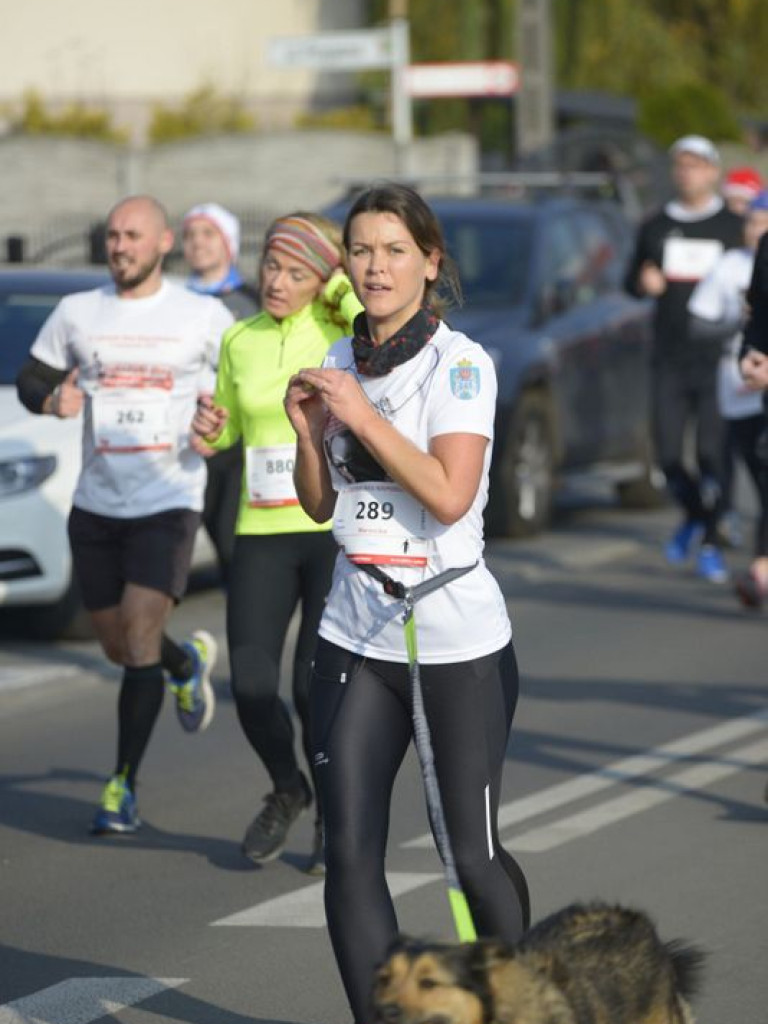 8 Luboński Bieg Niepodległości - fotorelacja