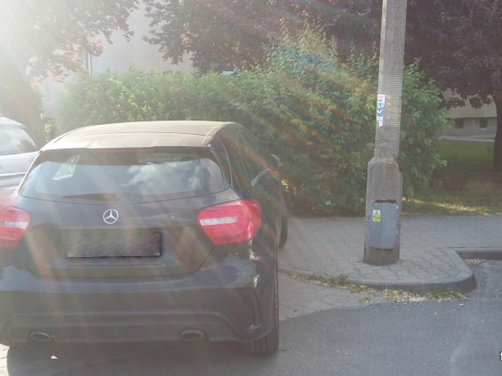 Mistrzowie parkowania?