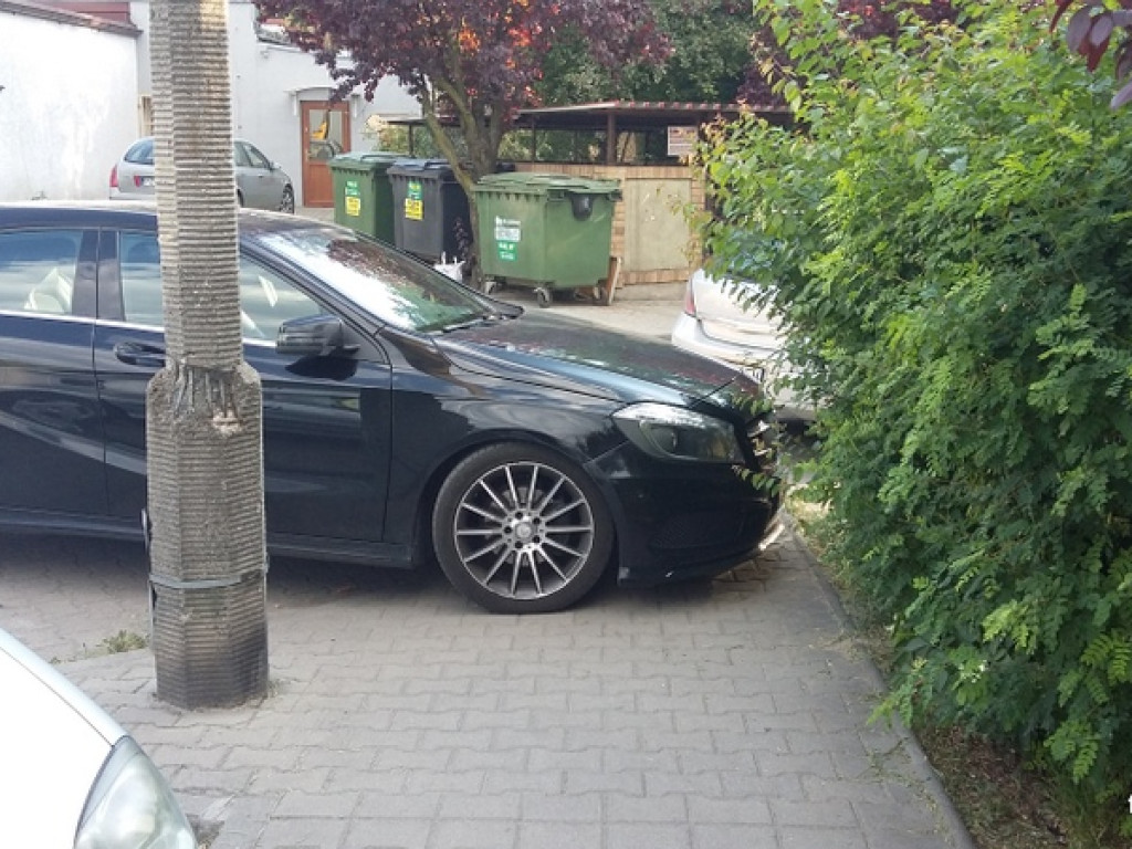 Mistrzowie parkowania?