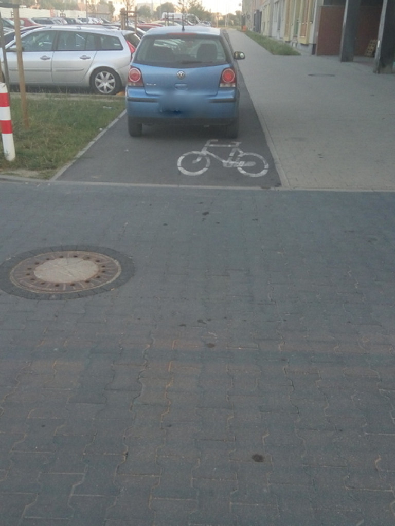 Mistrzowie parkowania?