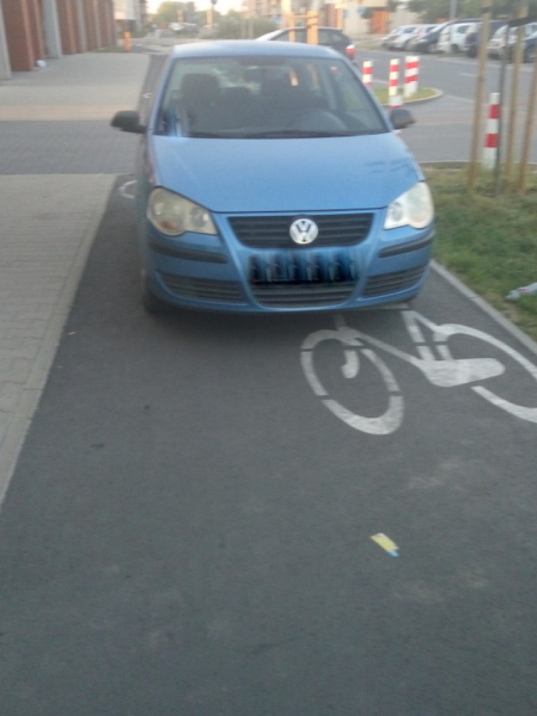 Mistrzowie parkowania?