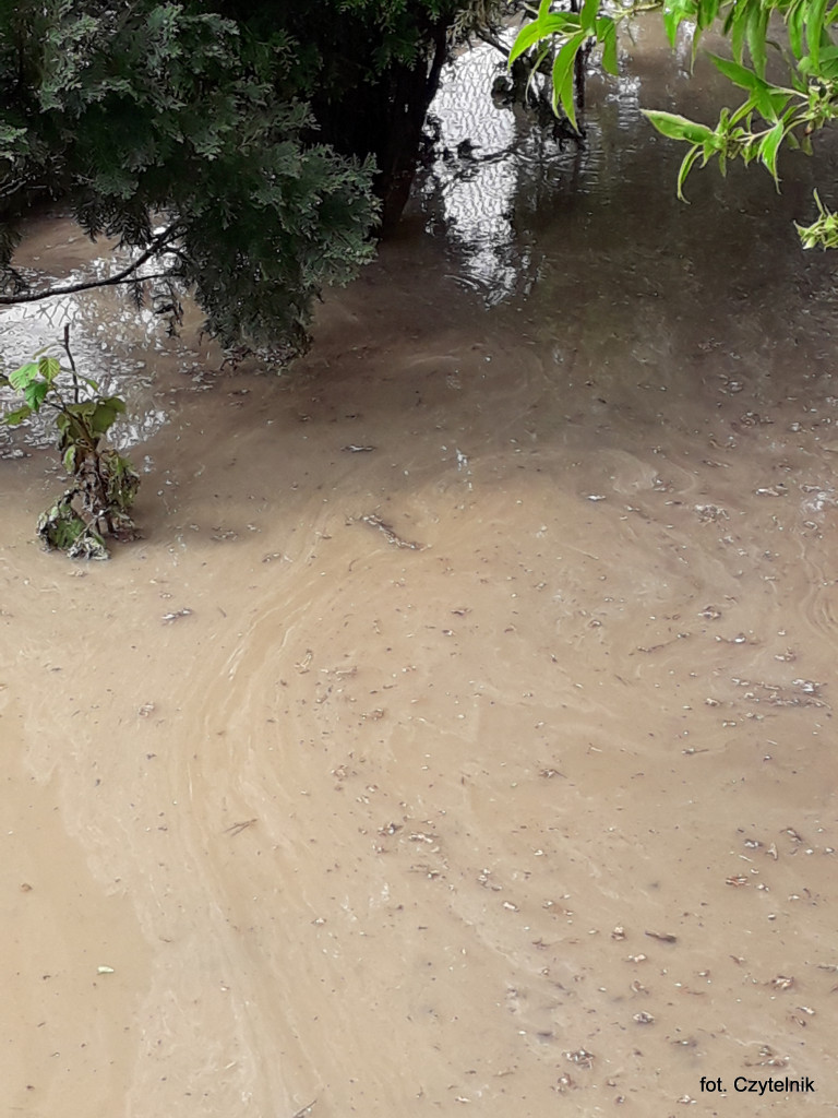 Dramatyczna sytuacja po opadach deszczu na ulicy Okrzei - list do redakcji [odpowiedź z UML]