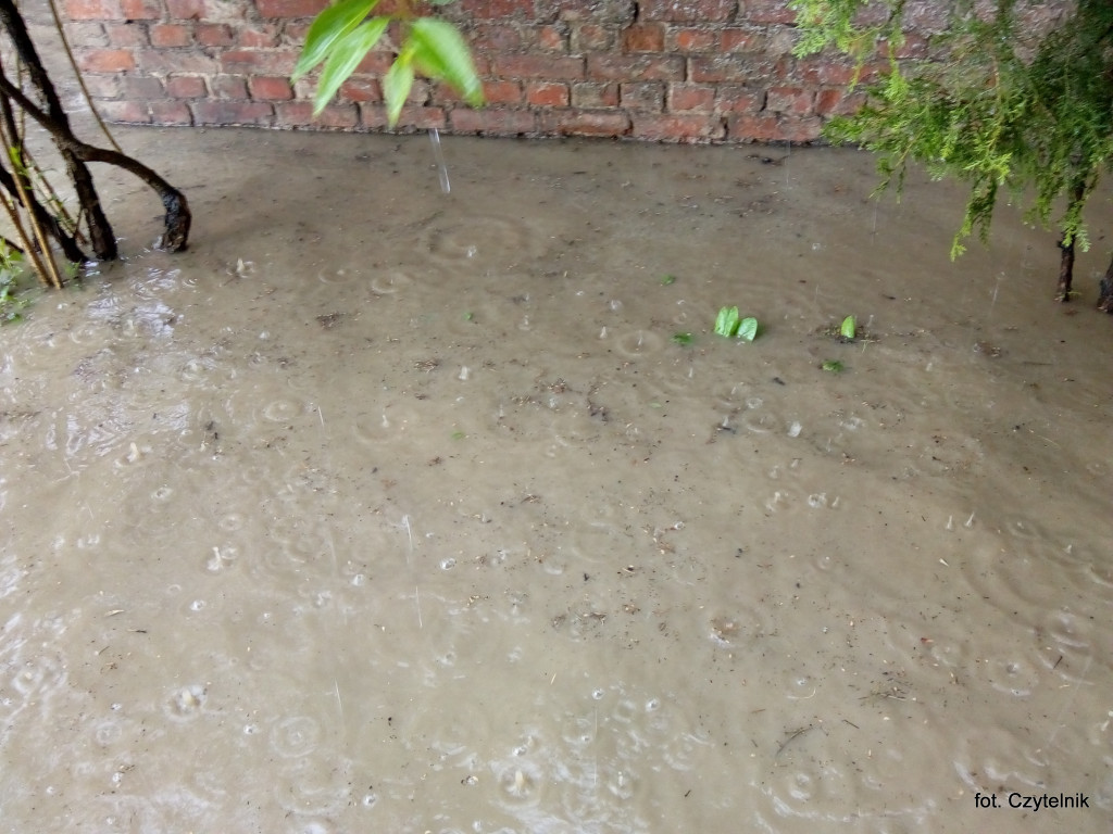 Dramatyczna sytuacja po opadach deszczu na ulicy Okrzei - list do redakcji [odpowiedź z UML]