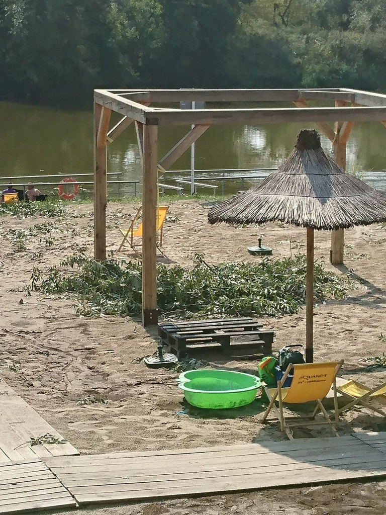 Powalone drzewa na ulicach Lubonia [AKTUALIZACJA]