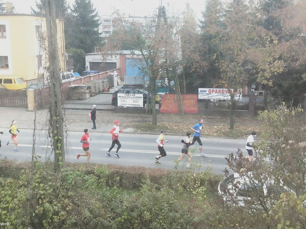 IX Luboński Bieg Niepodległości ? fotorelacja [AKTUALIZACJA 13.11.19]