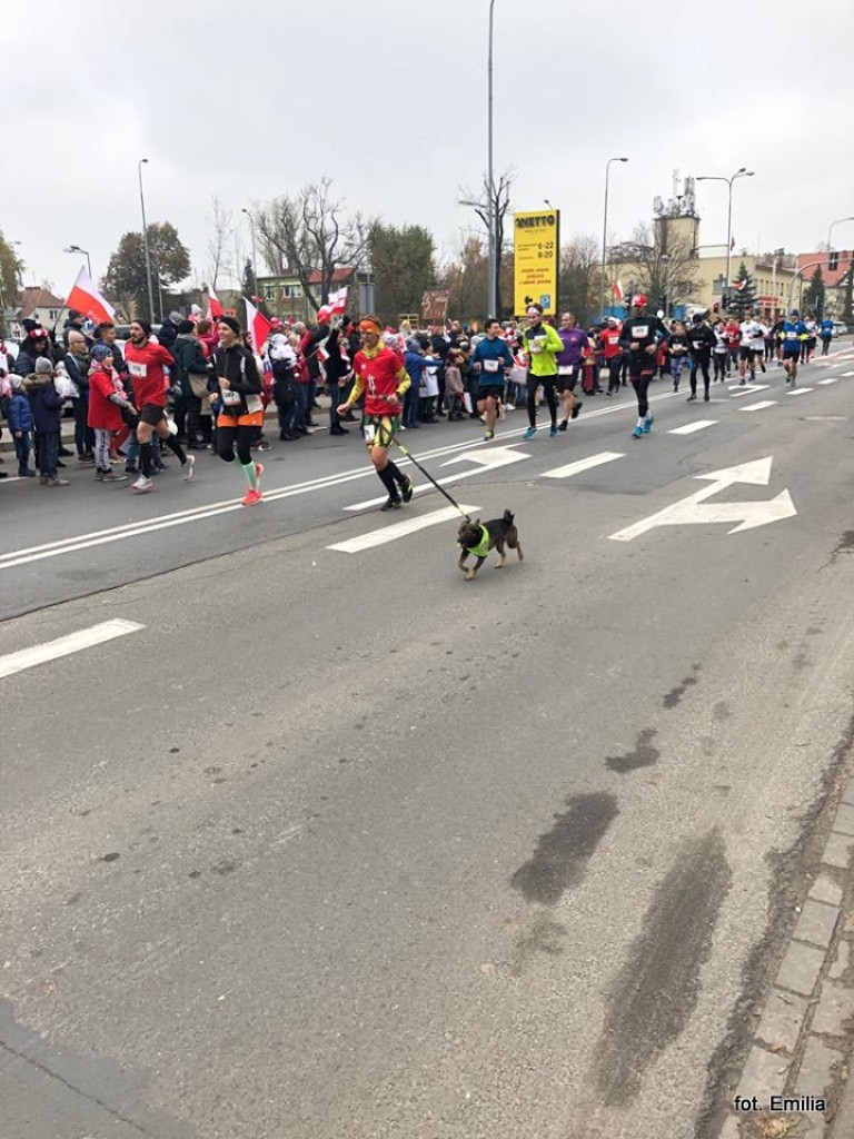 IX Luboński Bieg Niepodległości ? fotorelacja [AKTUALIZACJA 13.11.19]