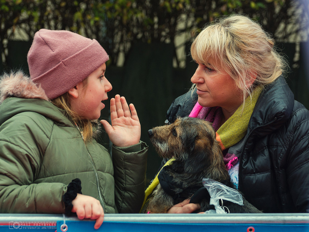 IX Luboński Bieg Niepodległości ? fotorelacja [AKTUALIZACJA 13.11.19]