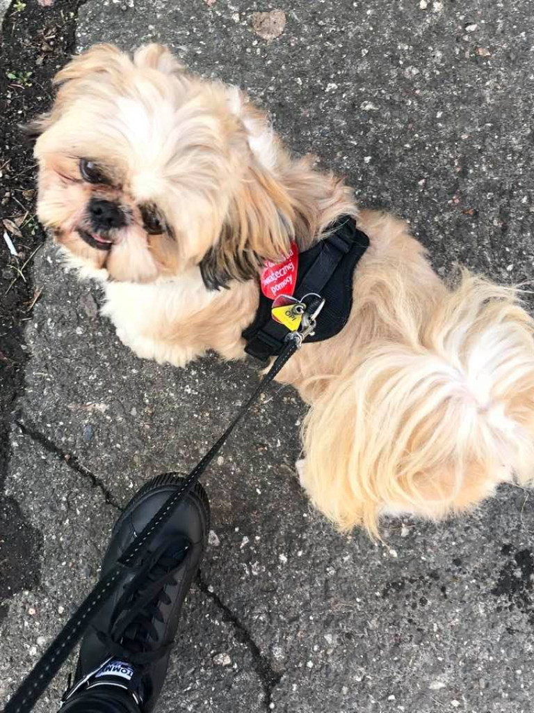 W Luboniu zagrała WOŚP - zebrano prawie 40 tysięcy złotych