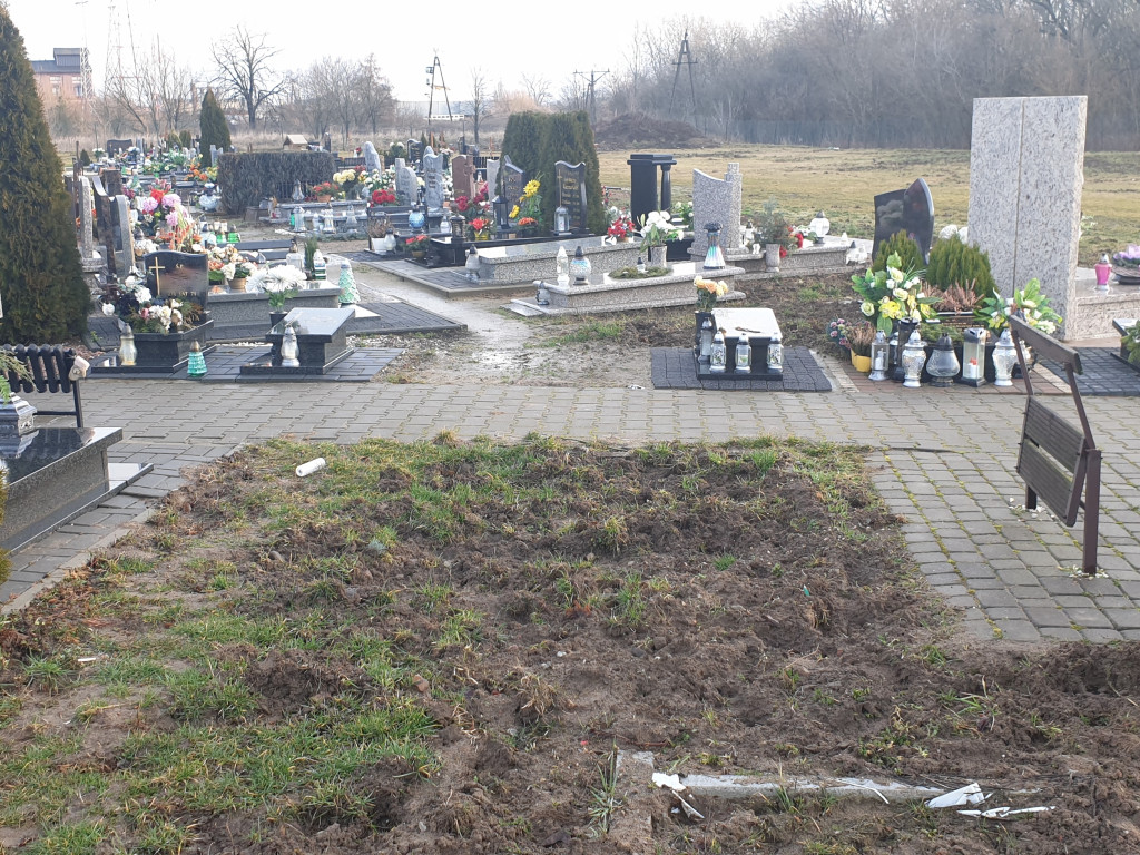 Dziki buszują po Cmentarzu Komunalnym - list do redakcji