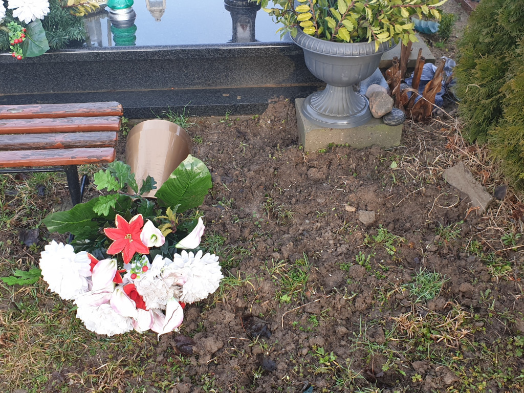 Dziki buszują po Cmentarzu Komunalnym - list do redakcji