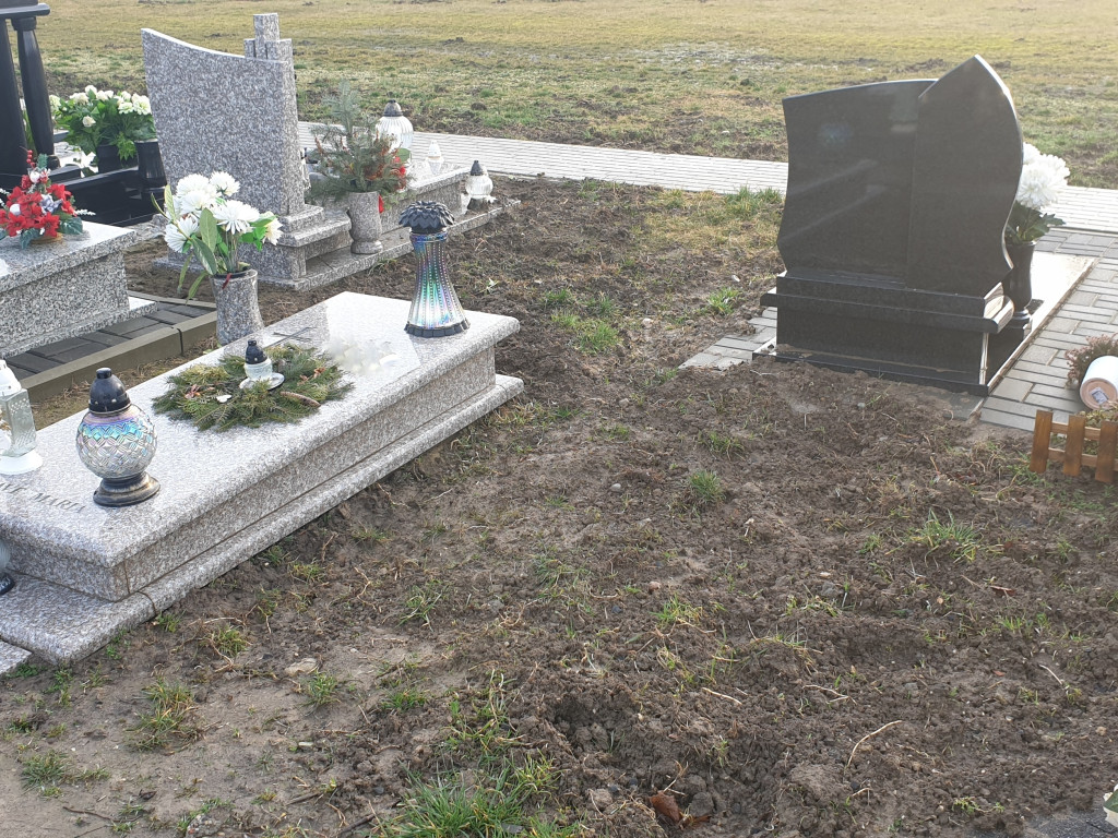 Dziki buszują po Cmentarzu Komunalnym - list do redakcji