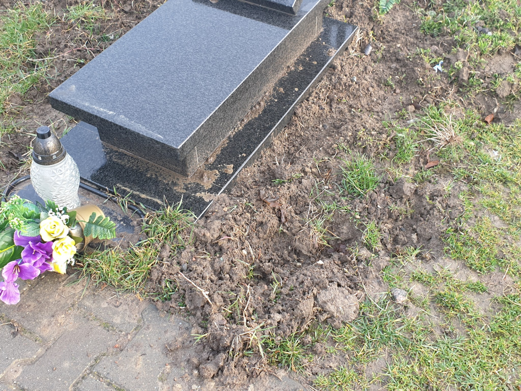 Dziki buszują po Cmentarzu Komunalnym - list do redakcji