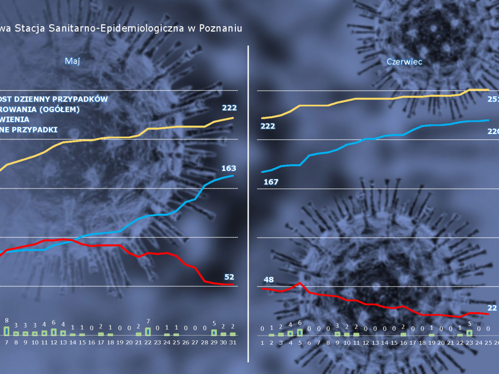 35 osób zarażonych koronawirusem w Wielkopolsce - aktualne dane z powiatu poznańskiego