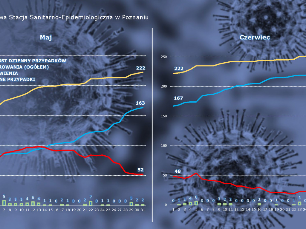 50 osób zarażonych koronawirusem w Wielkopolsce - aktualne dane z powiatu poznańskiego