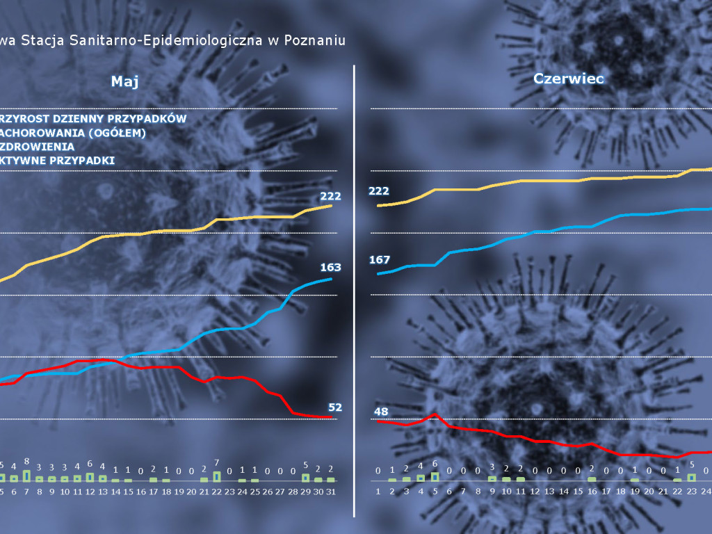 31 osób zarażonych koronawirusem w Wielkopolsce - aktualne dane z powiatu poznańskiego