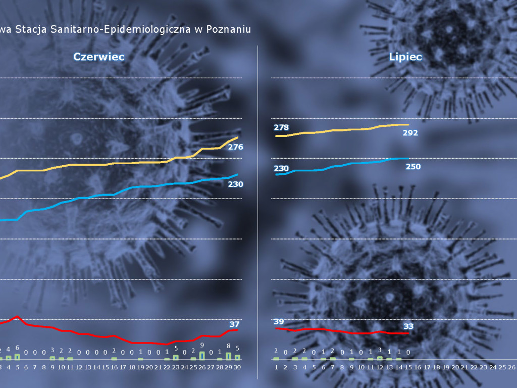 20 osób zarażonych koronawirusem w Wielkopolsce - aktualne dane z powiatu poznańskiego