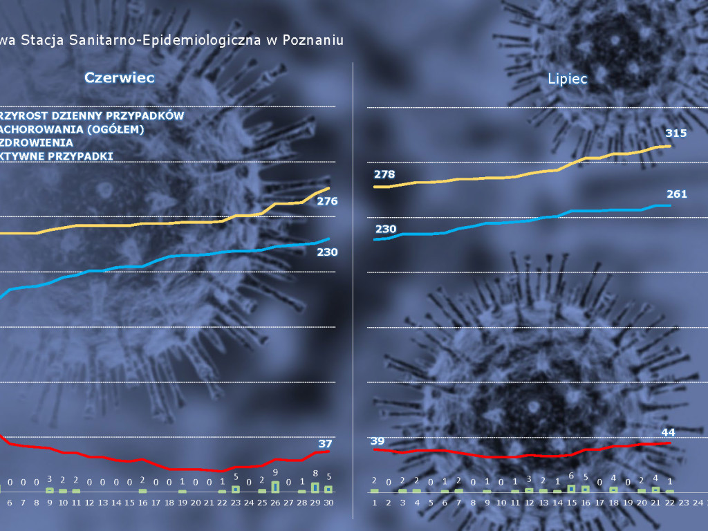 15 osób zarażonych koronawirusem w Wielkopolsce - aktualne dane z powiatu poznańskiego