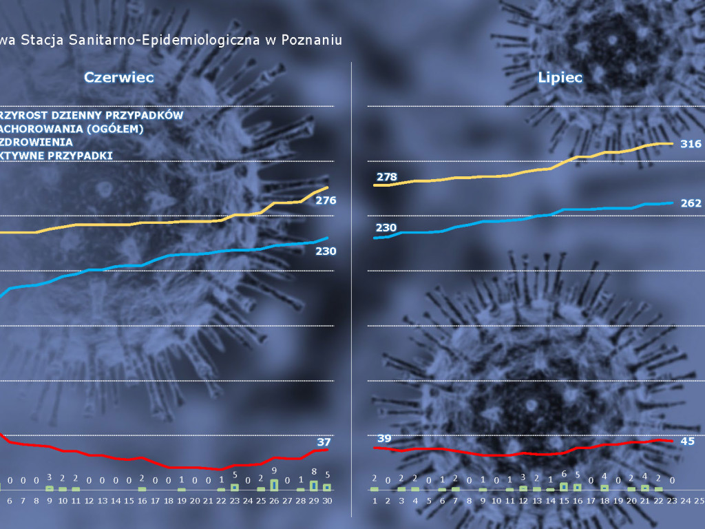 14 osób zarażonych koronawirusem w Wielkopolsce - aktualne dane z powiatu poznańskiego