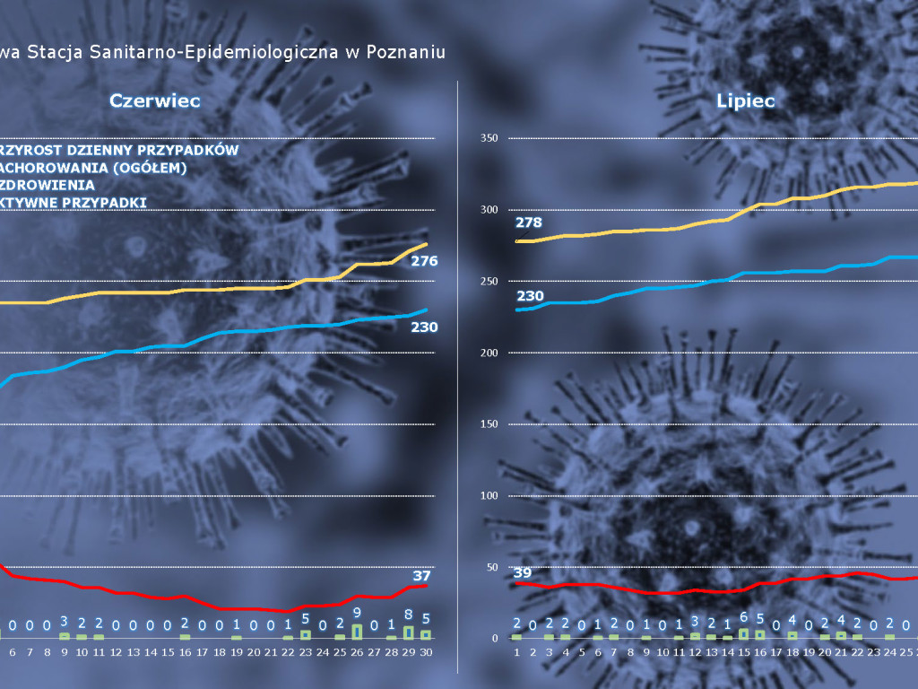 14 osób zarażonych koronawirusem w Wielkopolsce - aktualne dane z powiatu poznańskiego