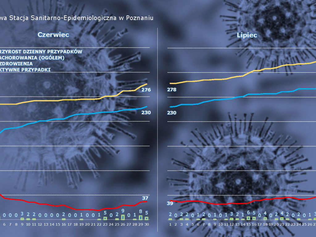 658 osób zakażonych, 39 osób zarażonych koronawirusem w Wielkopolsce - aktualne dane z powiatu poznańskiego