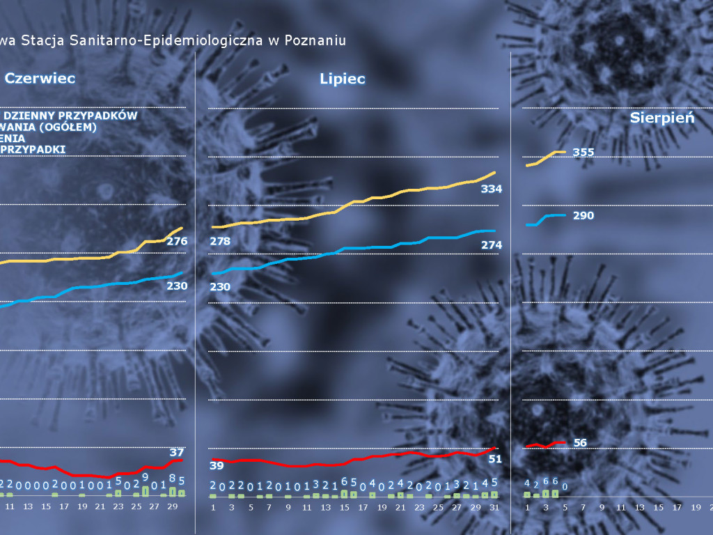 726 osób zakażonych, 89 osób zarażonych koronawirusem w Wielkopolsce - aktualne dane z powiatu poznańskiego