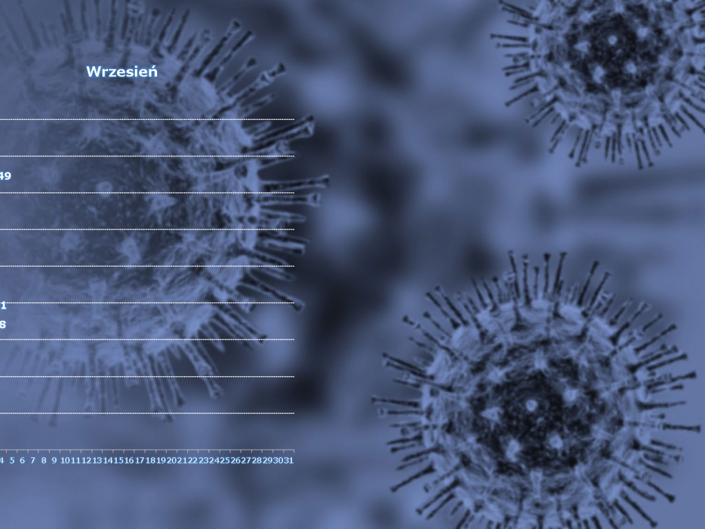17 osób zarażonych koronawirusem w powiecie poznańskim - aktualne dane