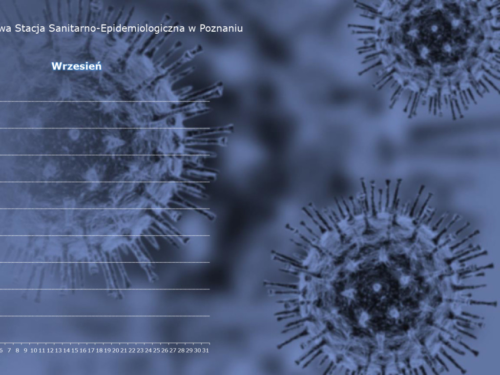 22 aktywne przypadki w Luboniu - aktualne dane z powiatu poznańskiego