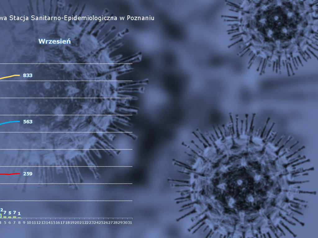 36 przypadków zakażenia koronawirusem w Luboniu - 9 aktywnych (aktualne dane z powiatu poznańskiego)
