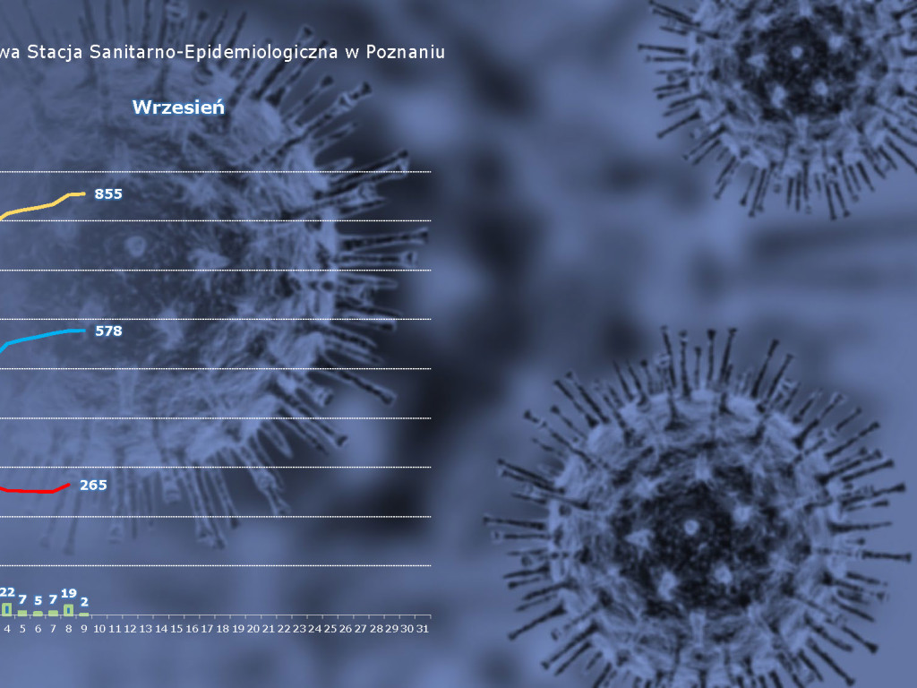 19 osób zarażonych koronawirusem w powiecie poznańskim - aktualne dane