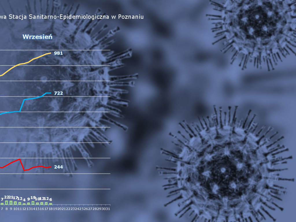 Już 31 ozdrowieńców w Luboniu - aktualne dane z powiatu poznańskiego