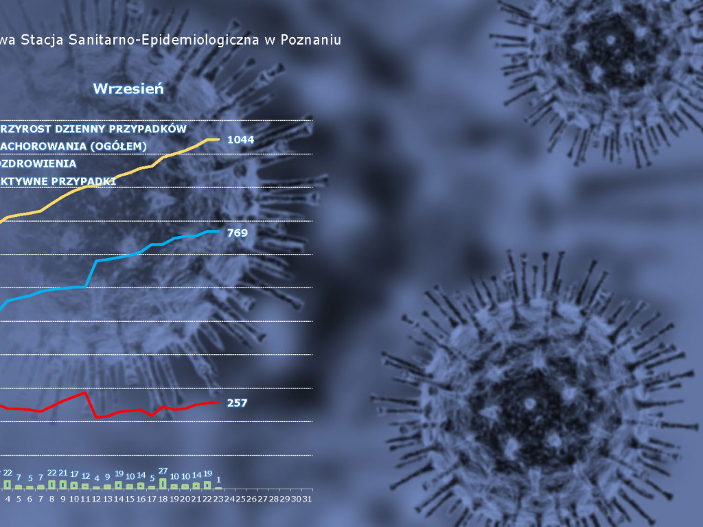24 osoby zakażone koronawirusem w powiecie poznańskim, 1136 w Polsce - aktualne dane