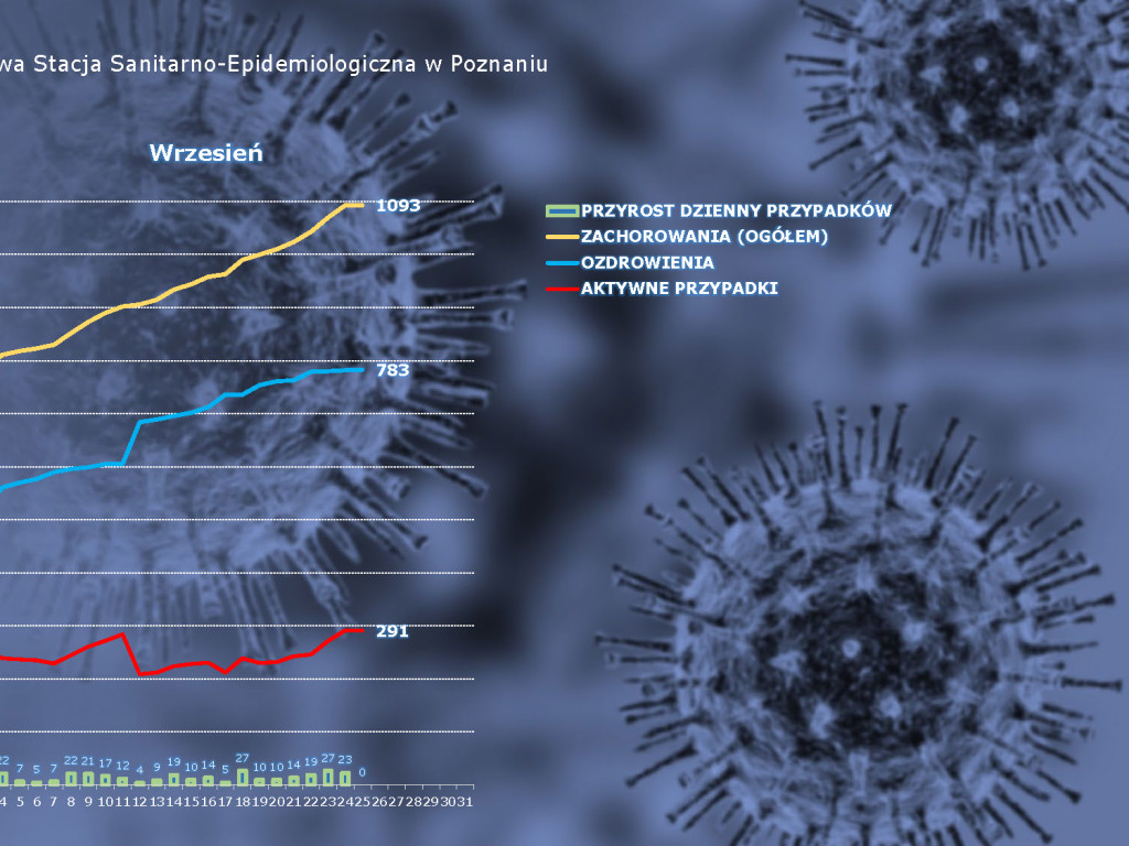 53 osoby zakażone koronawirusem w powiecie poznańskim, 167 w Wielkopolsce - aktualne dane