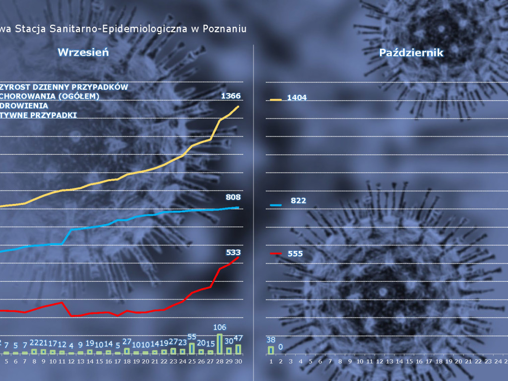 58 osób zarażonych koronawirusem w Wielkopolsce - aktualne dane z powiatu poznańskiego
